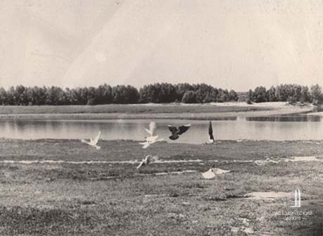 Панорама Зеленого острова. 1962 г.