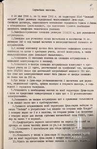 Проектная документация о размещении &laquo;Луна-парка&raquo;